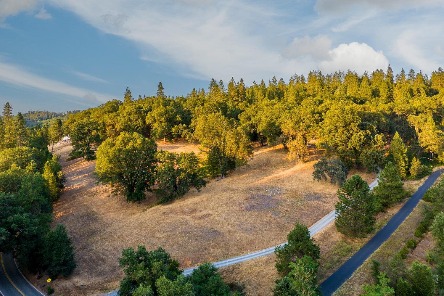 15461 Auburn Road Grass Valley, CA 95949 - Photo 1 of 1 Gallery Image 1