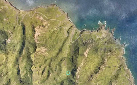 a bathroom with a shower curtain