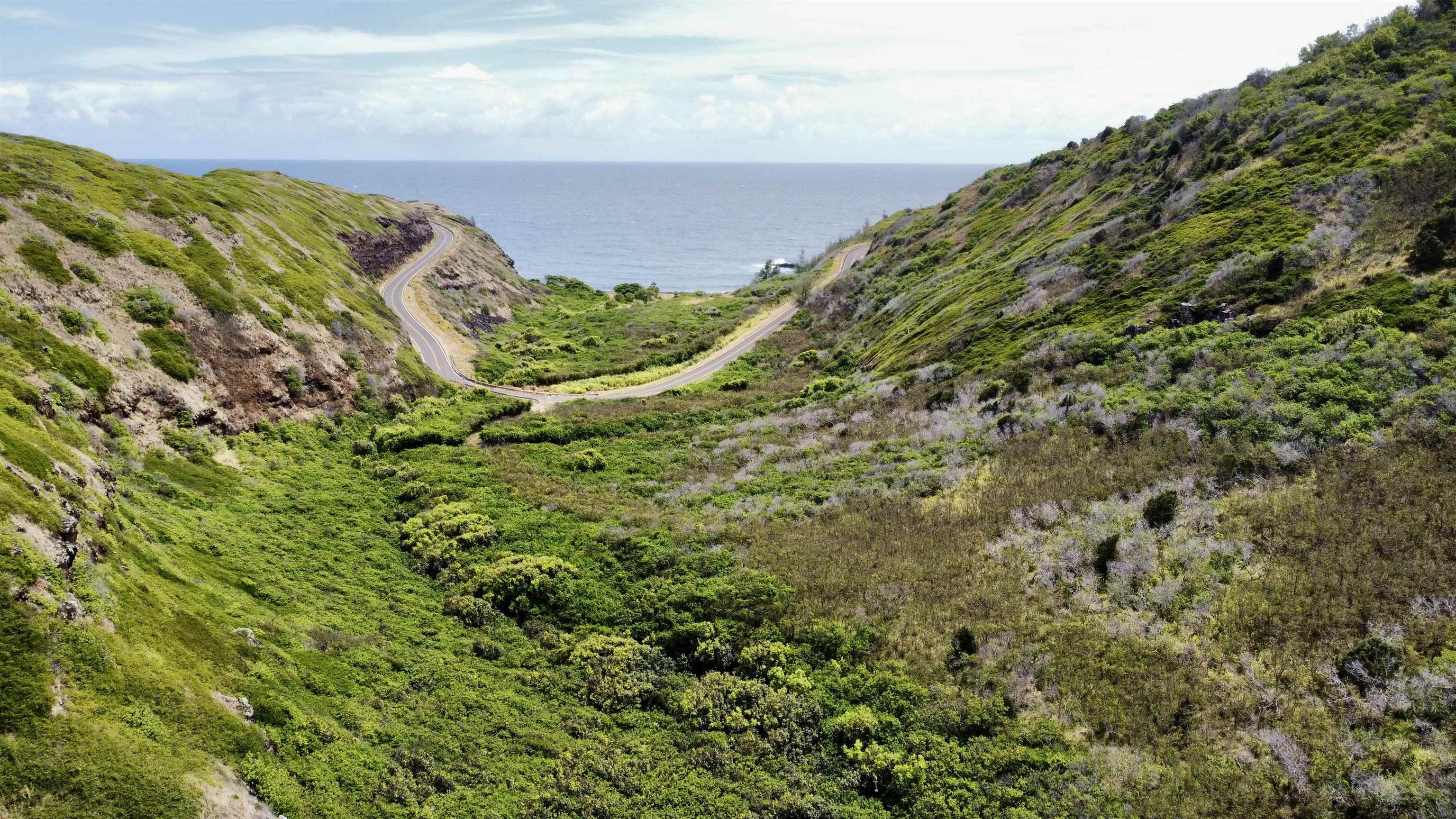 0 Kahakuloa Road Wailuku, HI 96793 - Photo 5 of 7 a view of a yard