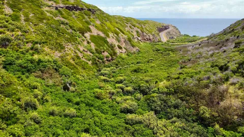 $195,000 | 0 Kahakuloa Road, Wailuku, HI 96793