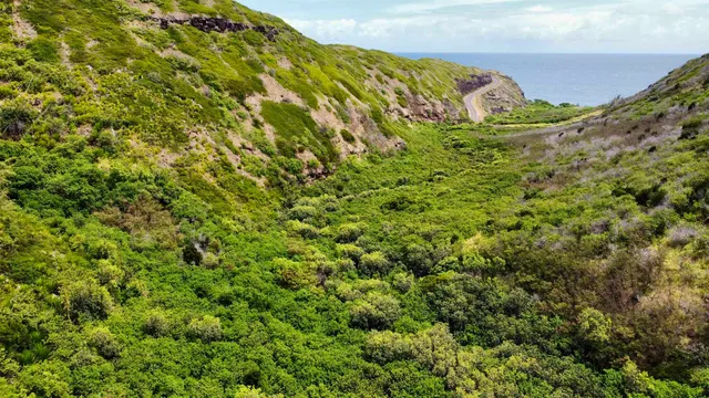 $195,000 | 0 Kahakuloa Road, Wailuku, HI 96793