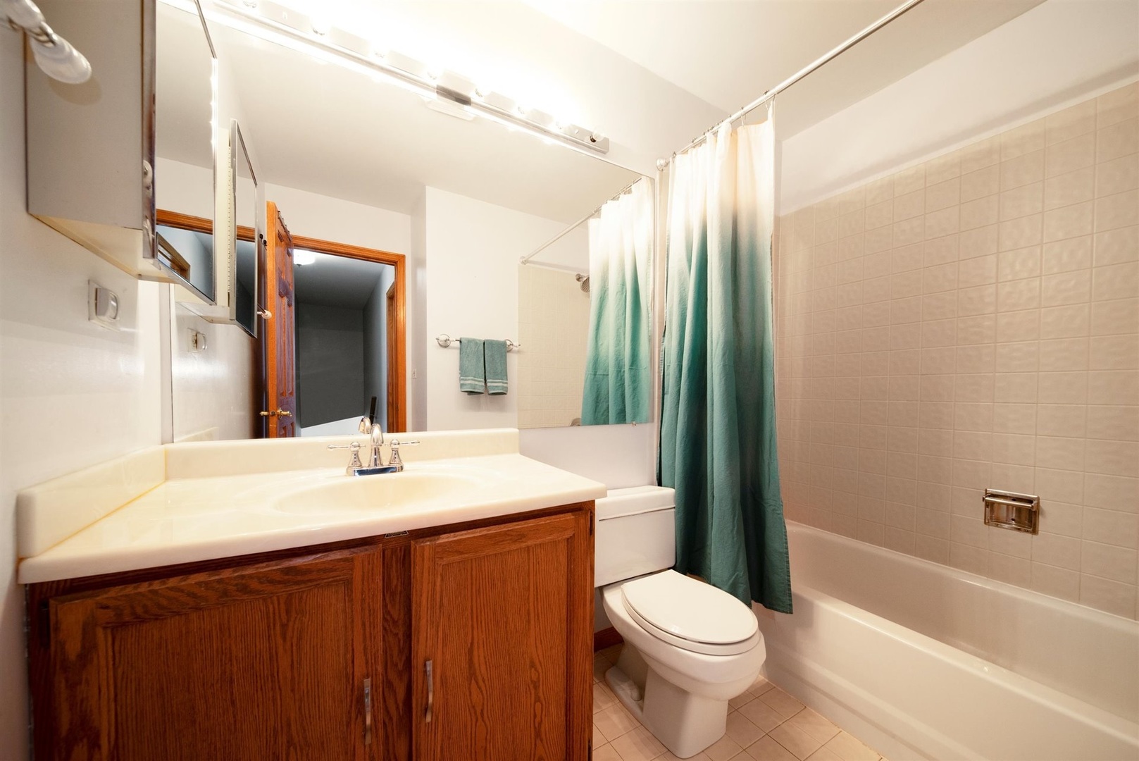 146 Sumac Lane Schaumburg, IL 60193 - Photo 13 of 24 a bathroom with a sink a toilet and shower