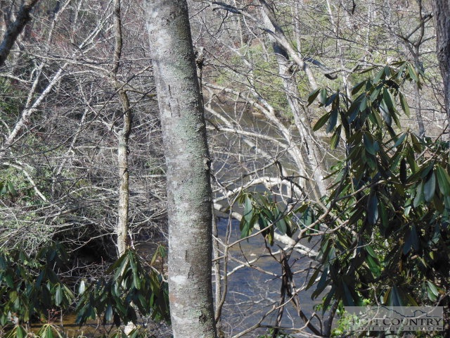 Lot 15 Riverside Drive Sparta, NC 28675 - Photo 4 of 5 a backyard of a building