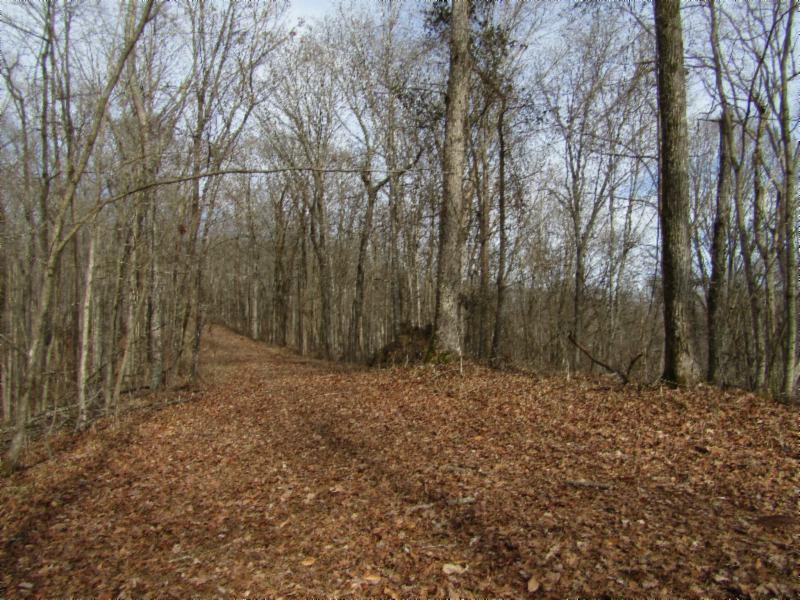 10-ac Millie Ridge Road Celina, TN 38551 - Photo 8 of 19 IMG_6722