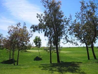 499 Cedar Ridge Drive Rio Vista, CA 94571 - Photo 11 of 12 Gallery Image 11