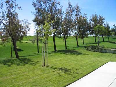 499 Cedar Ridge Drive Rio Vista, CA 94571 - Photo 12 of 12 Gallery Image 12