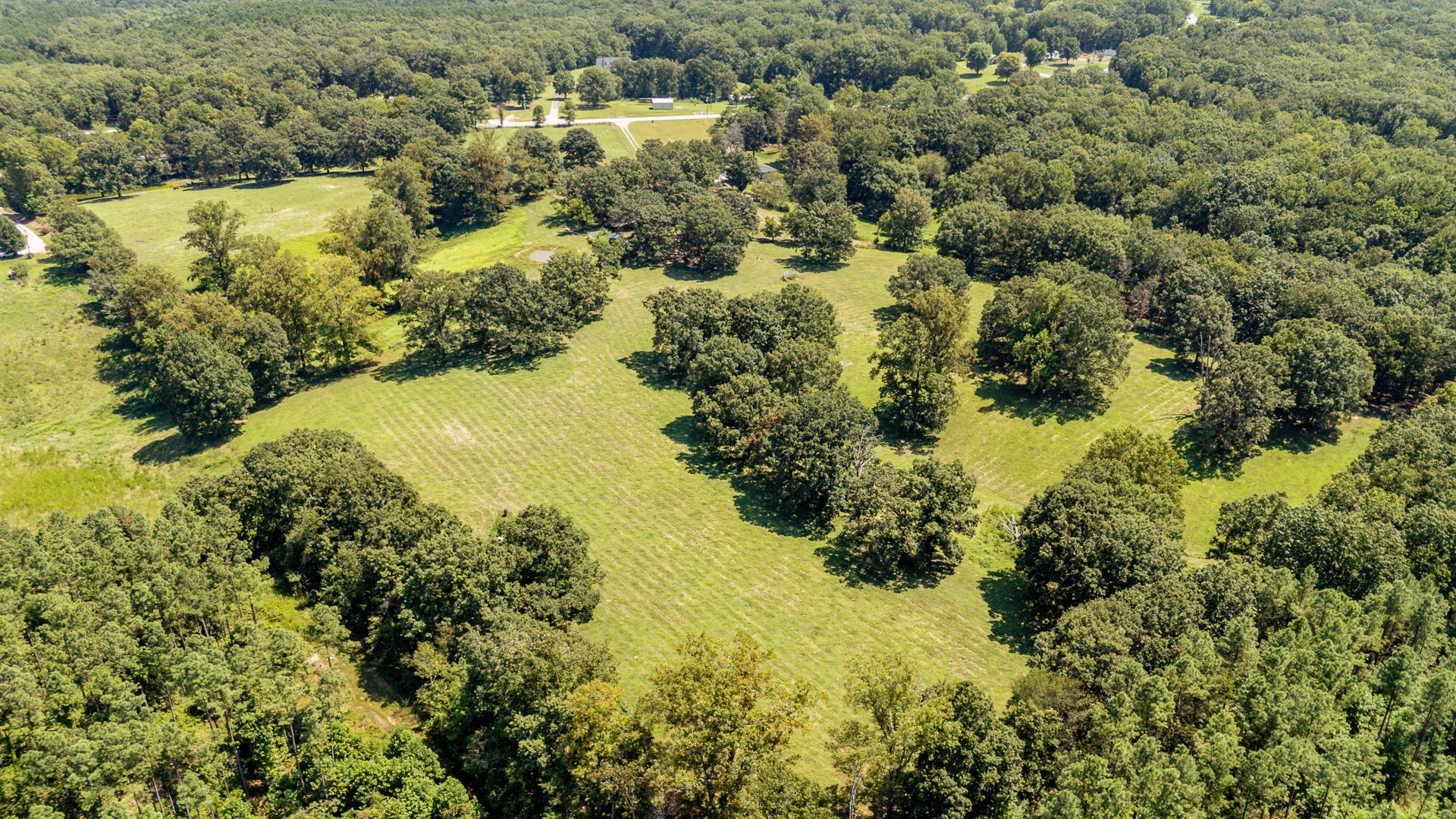 1321 Natural Bridge Road Waynesboro, TN 38485 - Photo 6 of 95 Gallery Image 6