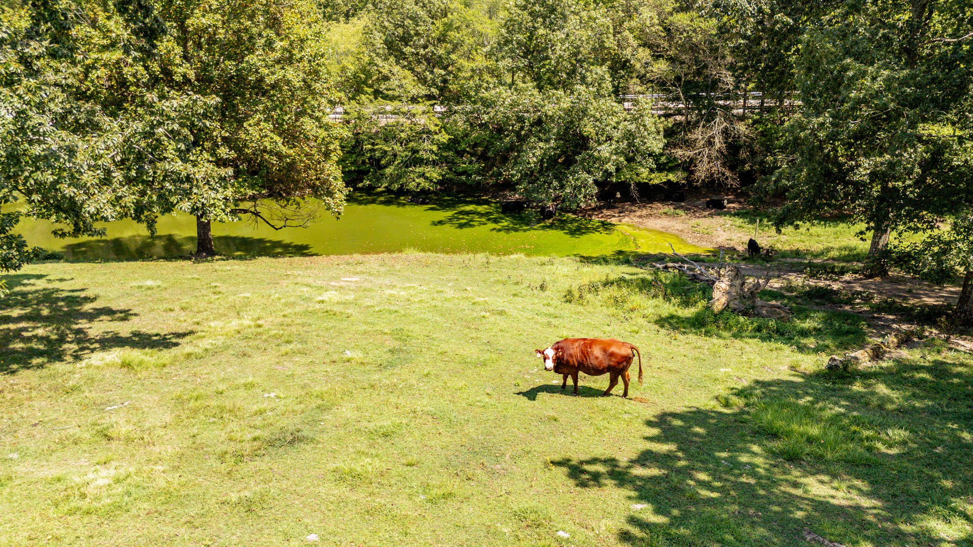 1321 Natural Bridge Road Waynesboro, TN 38485 - Photo 82 of 95 Gallery Image 82