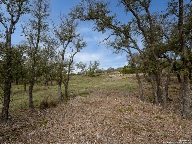 $229,900 | Lot 66 Majestic Hills Drive, Blanco, TX 78606