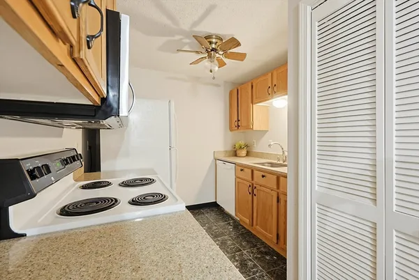 a kitchen with a stove a sink and a refrigerator