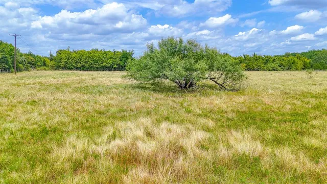 a view of a yard with plants and a bench