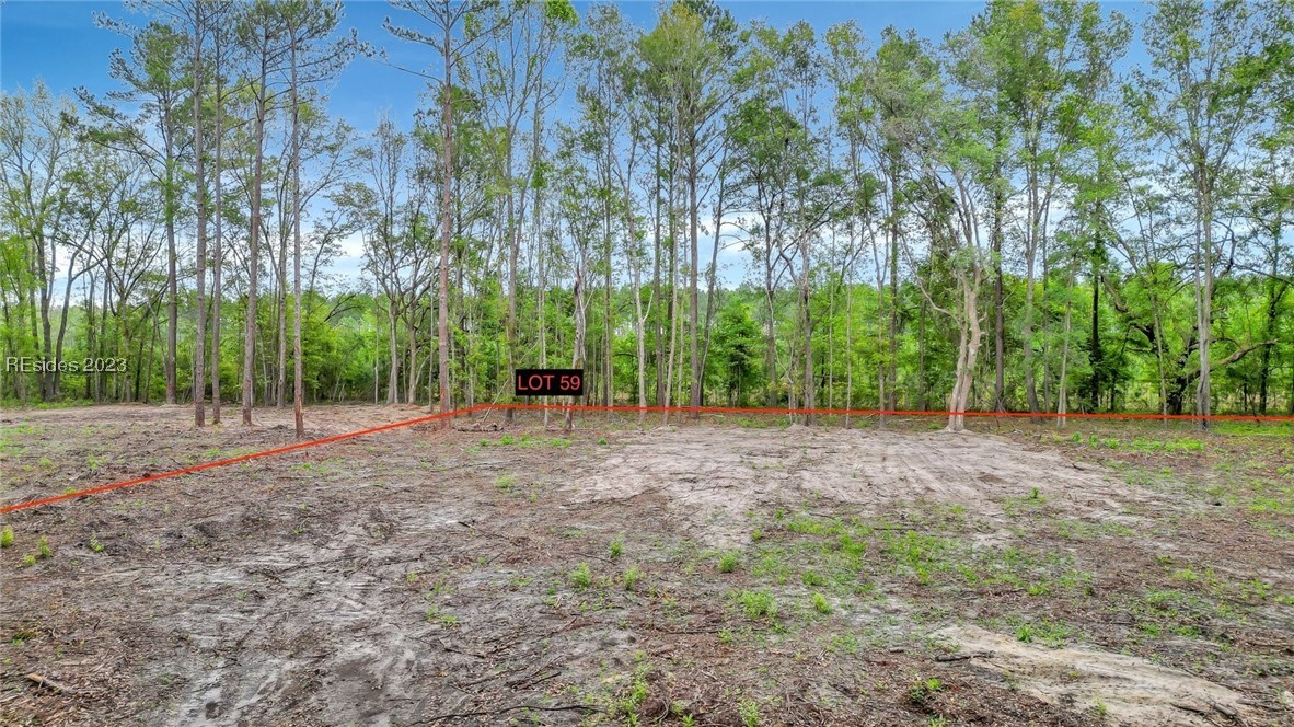 Lot 59 Shirley Street Ridgeland, SC 29936 - Photo 1 of 1 Gallery Image 1