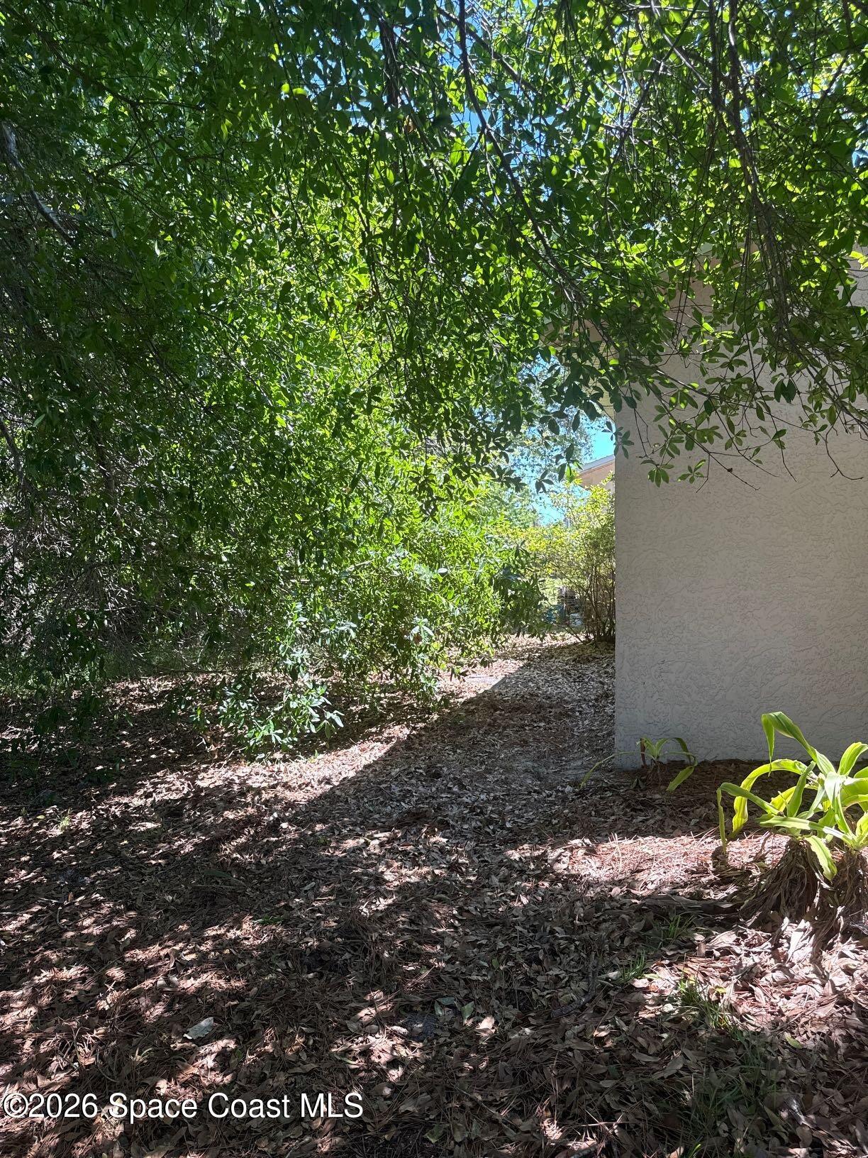 1514 Clearlake Road, Unit 110 Cocoa, FL 32922 - Photo 20 of 23 Backyard