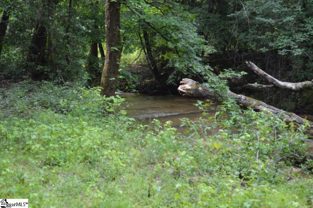 Creek Road Chesnee, SC 29323 - Photo 11 of 28 Gallery Image 11