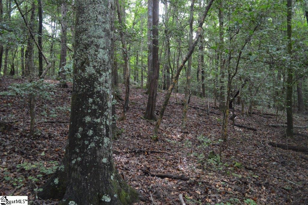 Creek Road Chesnee, SC 29323 - Photo 12 of 28 Gallery Image 12