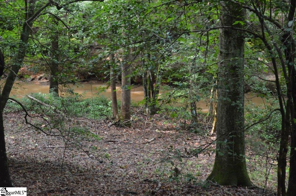 Creek Road Chesnee, SC 29323 - Photo 14 of 28 Gallery Image 14