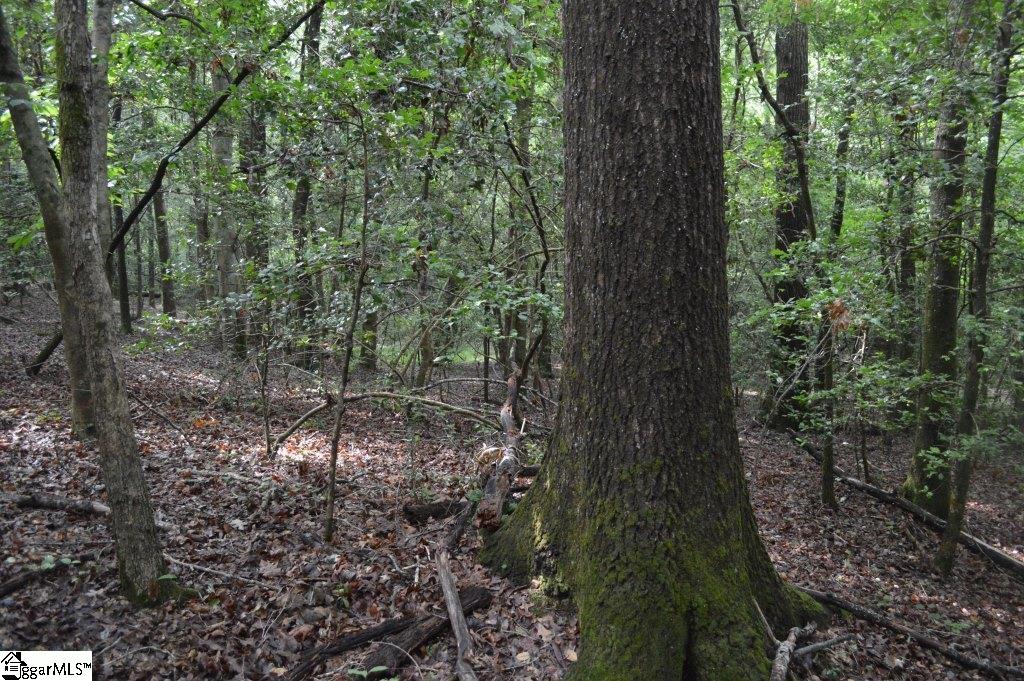 Creek Road Chesnee, SC 29323 - Photo 15 of 28 Gallery Image 15