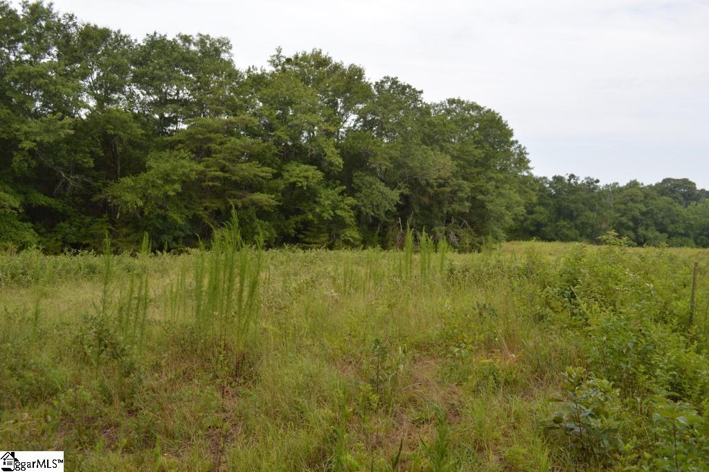 Creek Road Chesnee, SC 29323 - Photo 17 of 28 Gallery Image 17