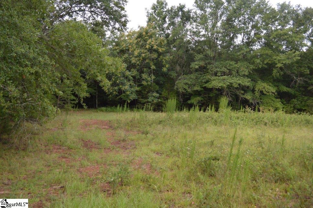 Creek Road Chesnee, SC 29323 - Photo 18 of 28 Gallery Image 18