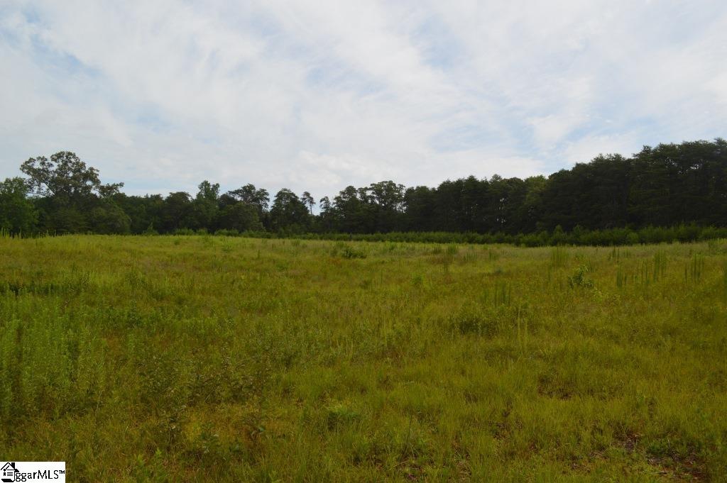 Creek Road Chesnee, SC 29323 - Photo 19 of 28 Gallery Image 19