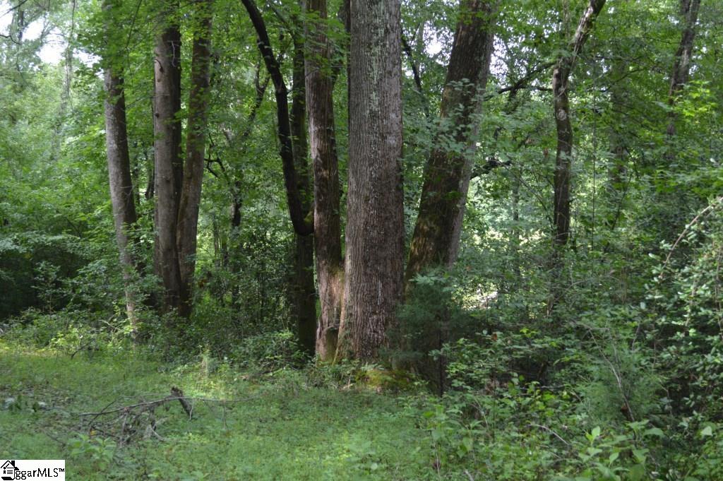 Creek Road Chesnee, SC 29323 - Photo 20 of 28 Gallery Image 20