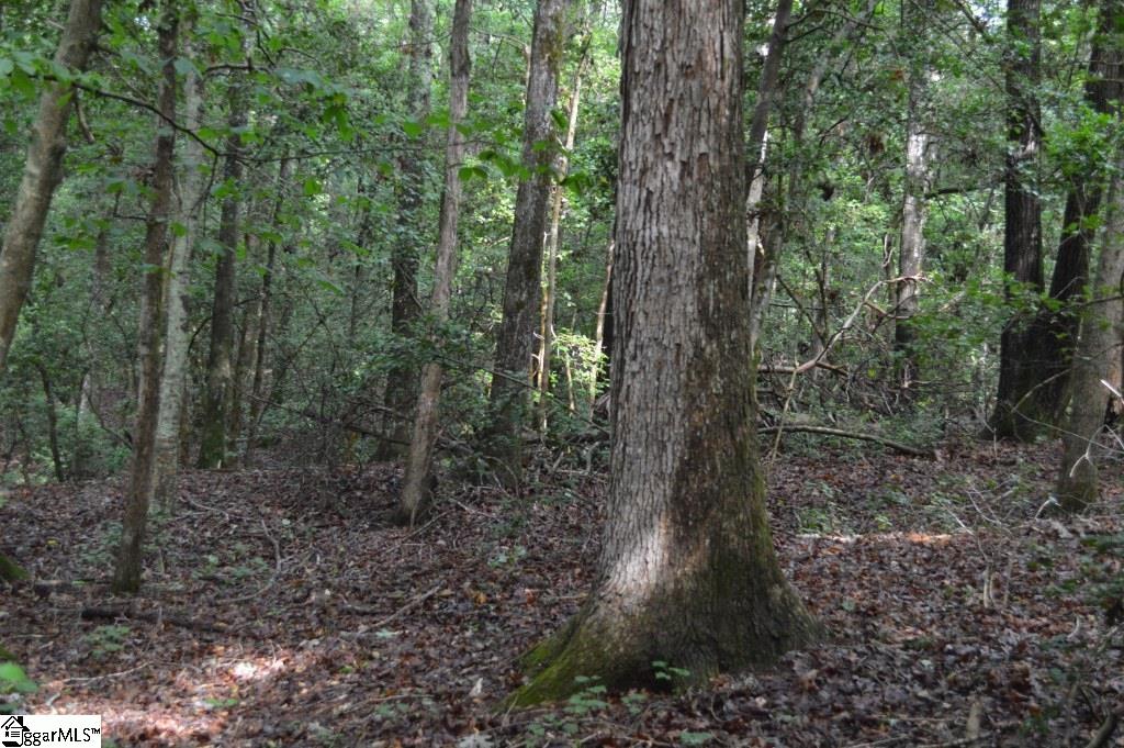 Creek Road Chesnee, SC 29323 - Photo 2 of 28 Gallery Image 2