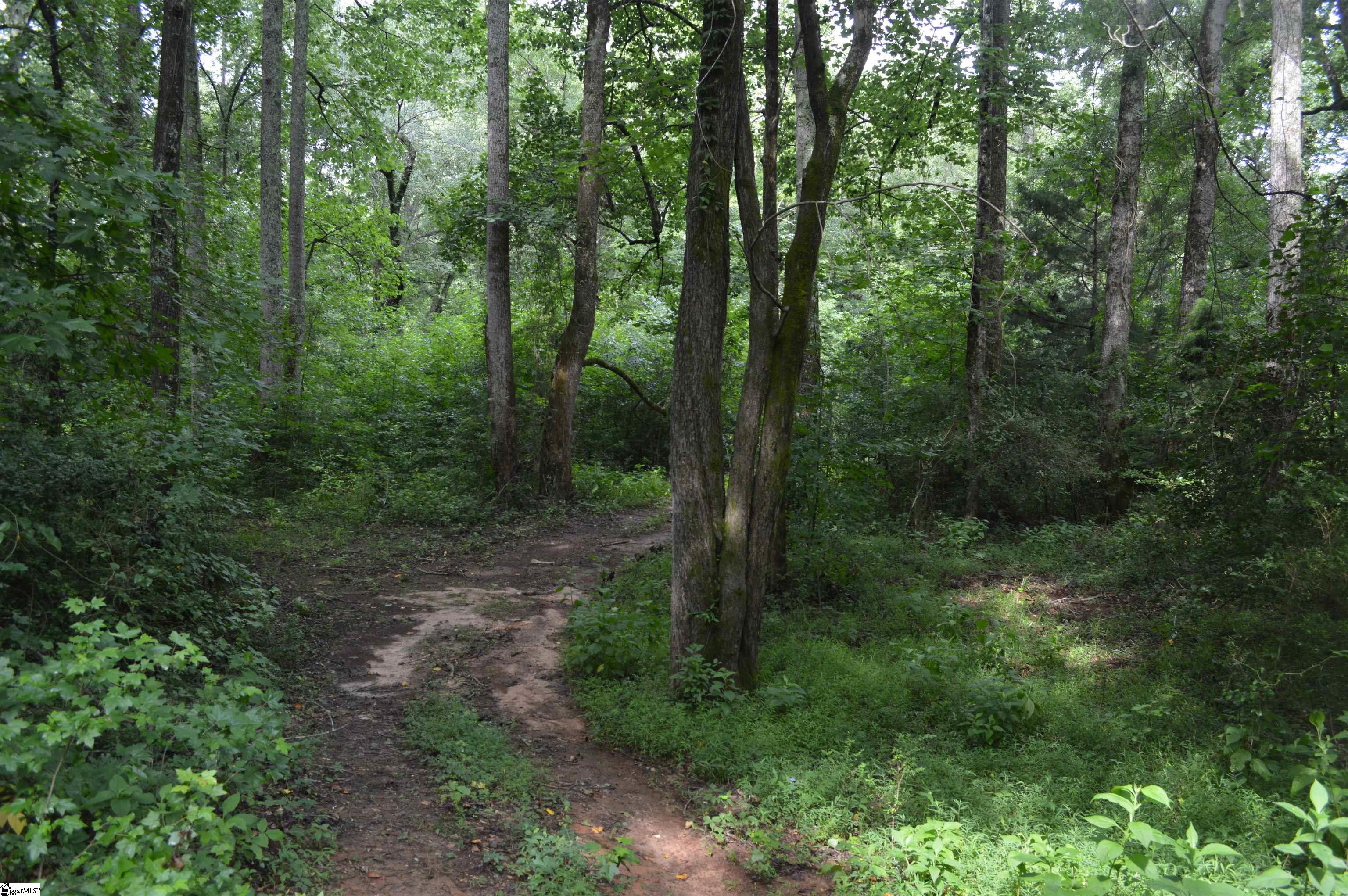 Creek Road Chesnee, SC 29323 - Photo 4 of 28 Gallery Image 4