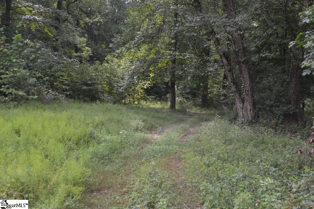 Creek Road Chesnee, SC 29323 - Photo 5 of 28 Gallery Image 5