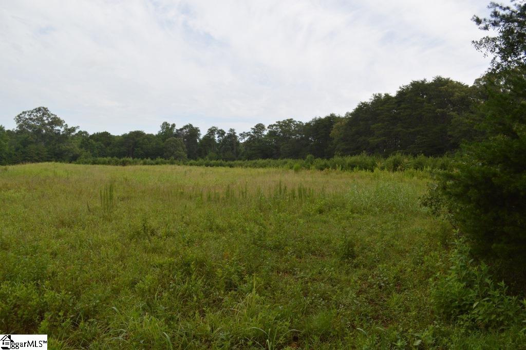 Creek Road Chesnee, SC 29323 - Photo 7 of 28 Gallery Image 7