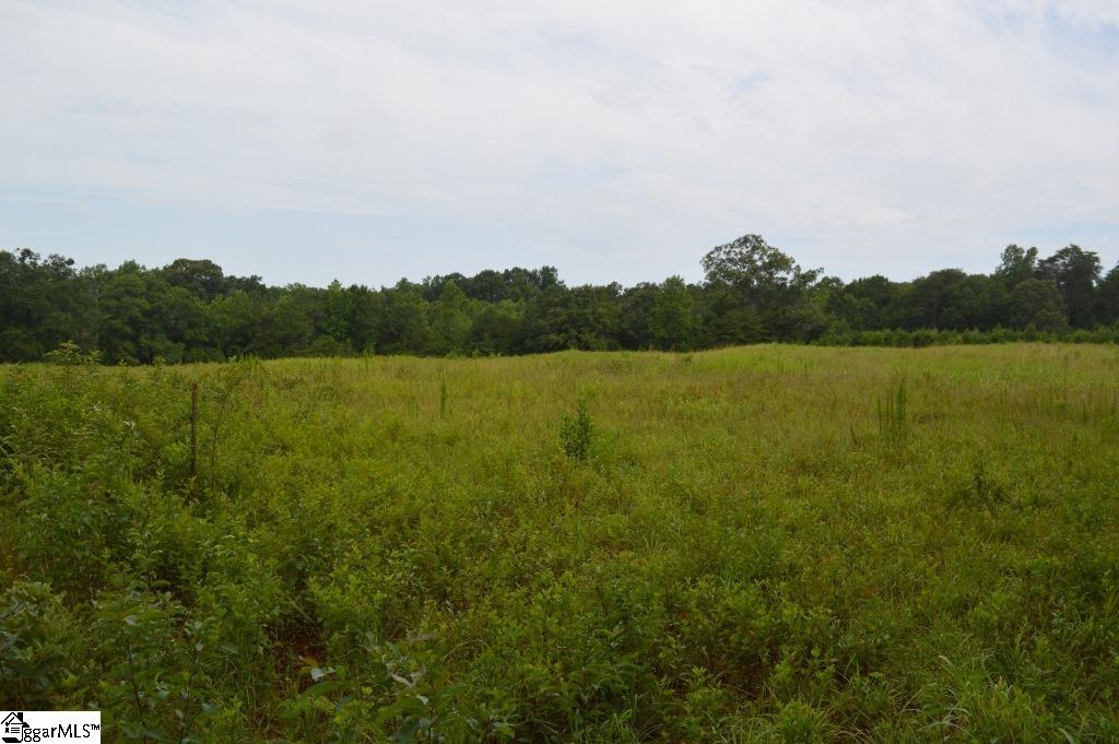 Creek Road Chesnee, SC 29323 - Photo 8 of 28 Gallery Image 8