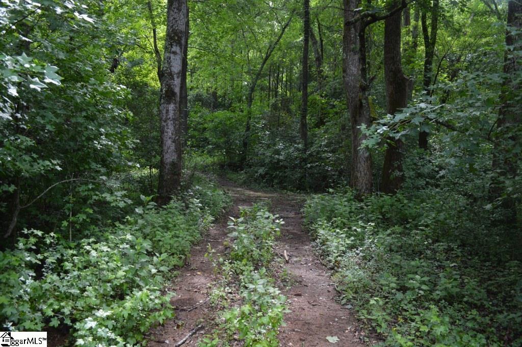 Creek Road Chesnee, SC 29323 - Photo 9 of 28 Gallery Image 9
