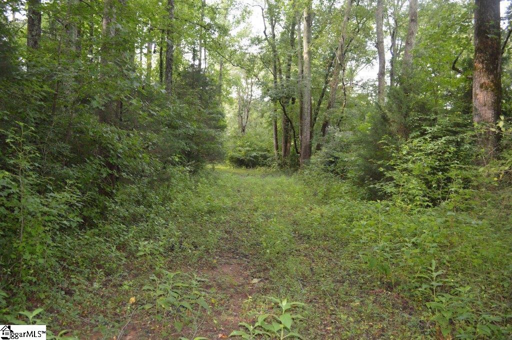 Creek Road Chesnee, SC 29323 - Photo 10 of 28 Gallery Image 10