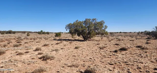 a view of beach and snow
