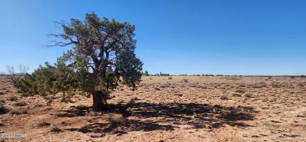 a view of a large building with a trees in the background
