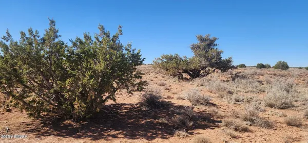 a view of city and mountain
