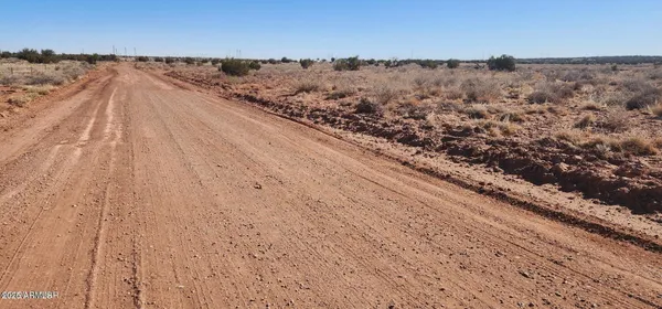 a view of a dry yard