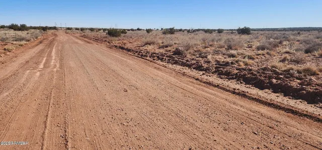 a view of a dry yard