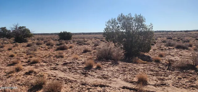 a view of a dry field