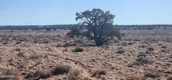 a view of a sky view