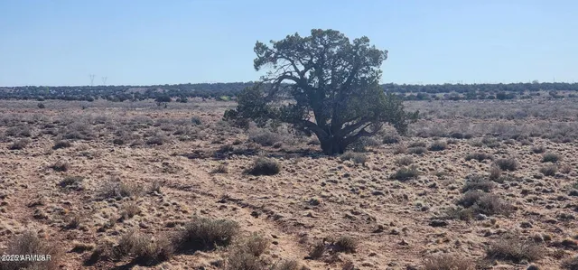 a view of a sky view