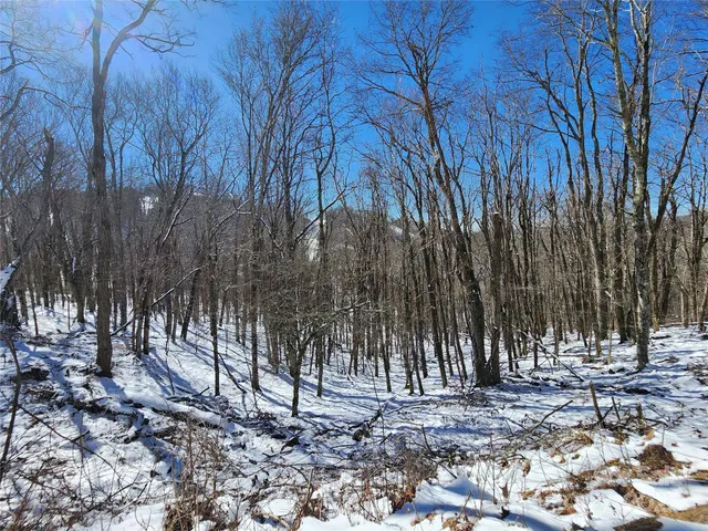 a view of backyard with green space