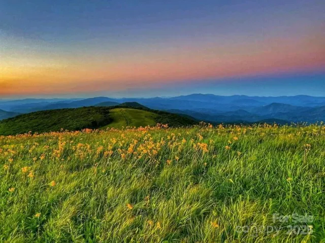 a view of the view of the road