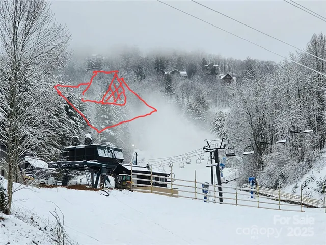 a view of a yard with trees