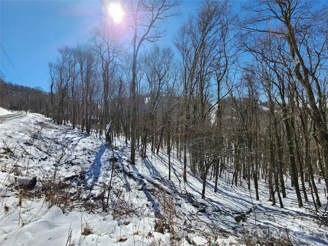 a view of dirt yard with a fountain
