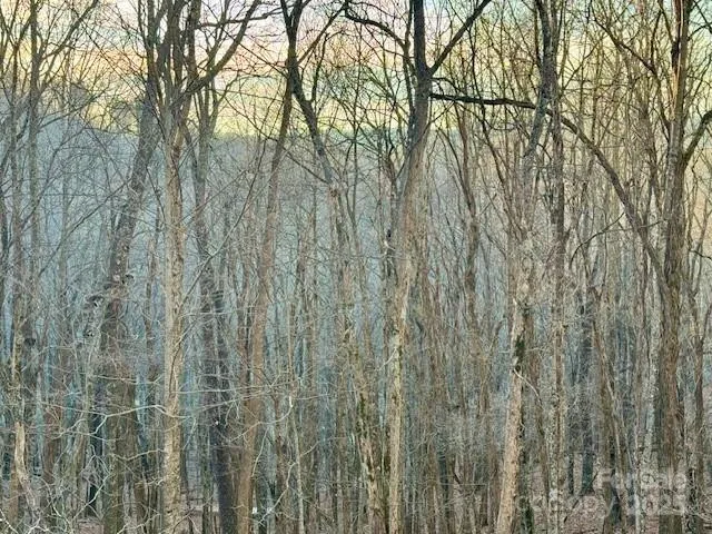 a view of a yard with lots of green space