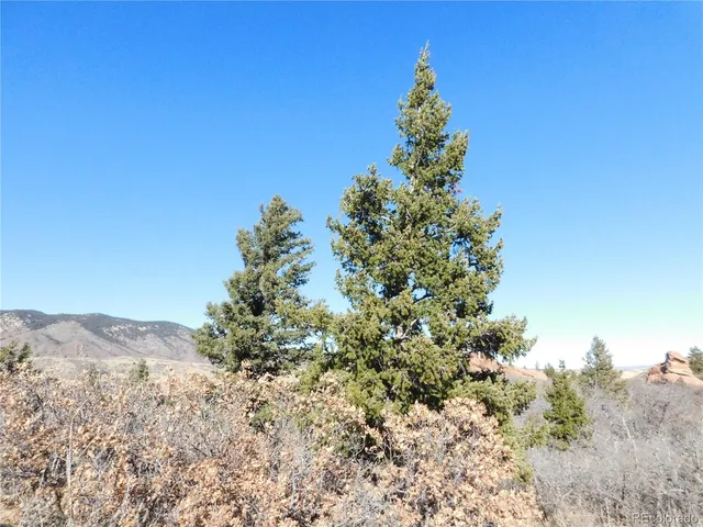a backyard of a house with large trees