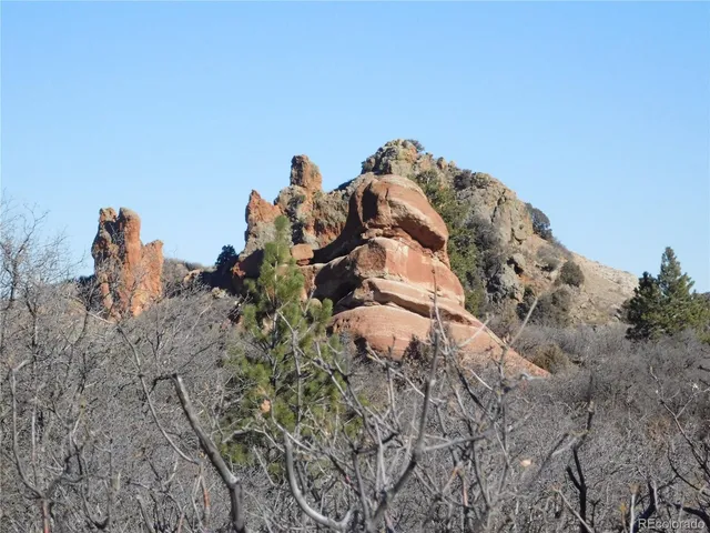 a view of a dry yard