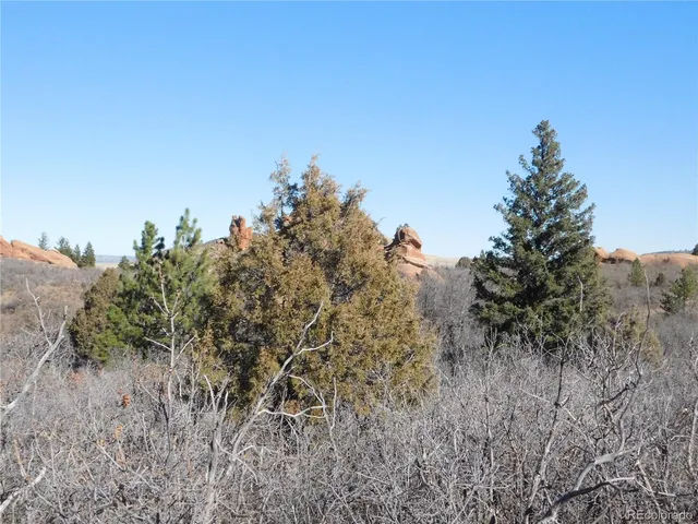 a view of a bunch of trees