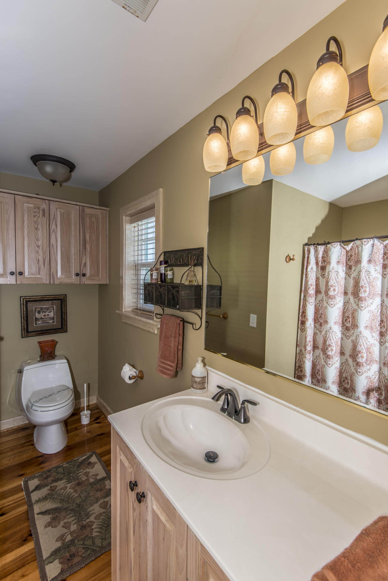 3744 Docksite Road Edisto Island, SC 29438 - Photo 41 of 73 3744 Docksite rd prof. (13)