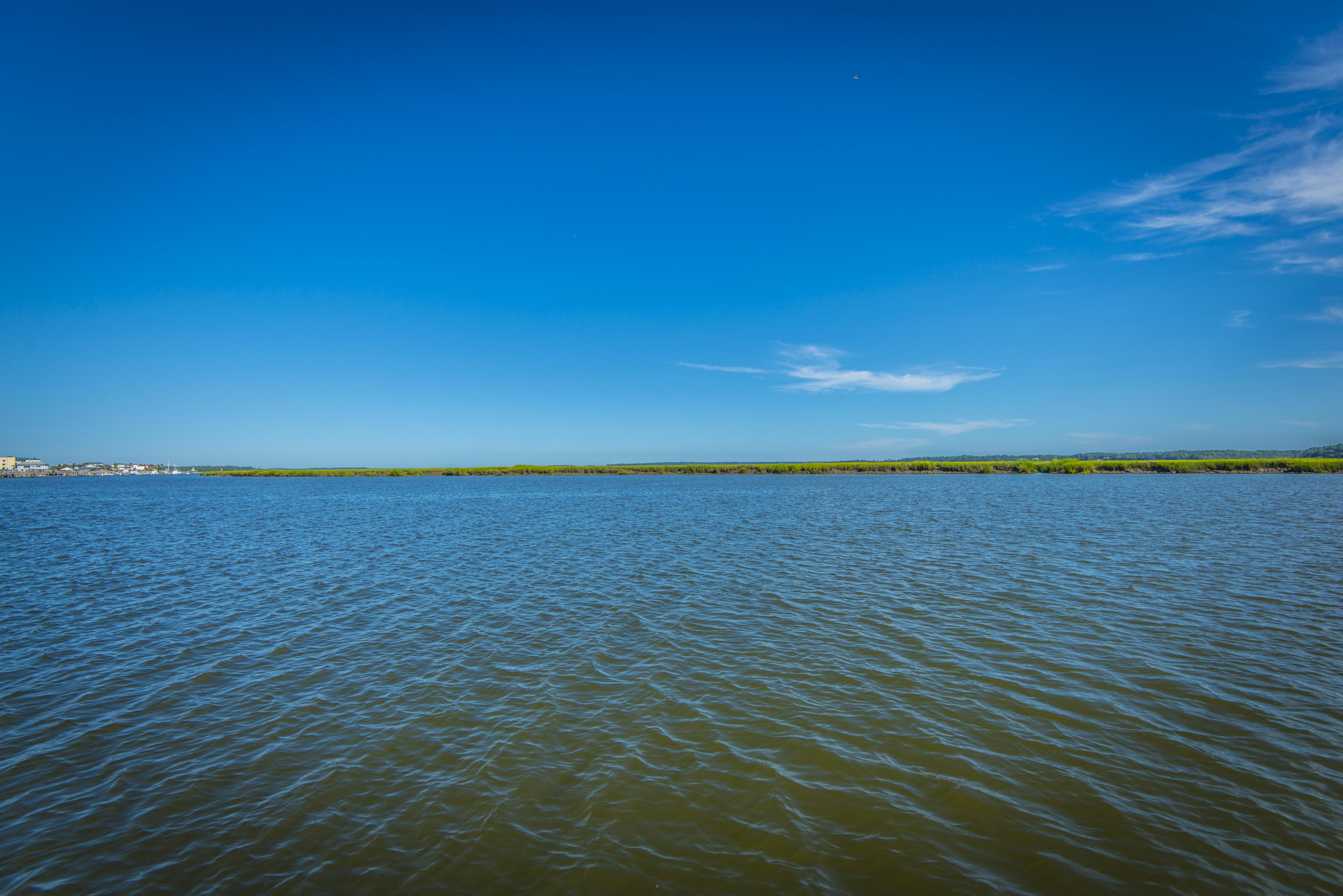 3744 Docksite Road Edisto Island, SC 29438 - Photo 64 of 73 3744 Docksite rd prof. (33)